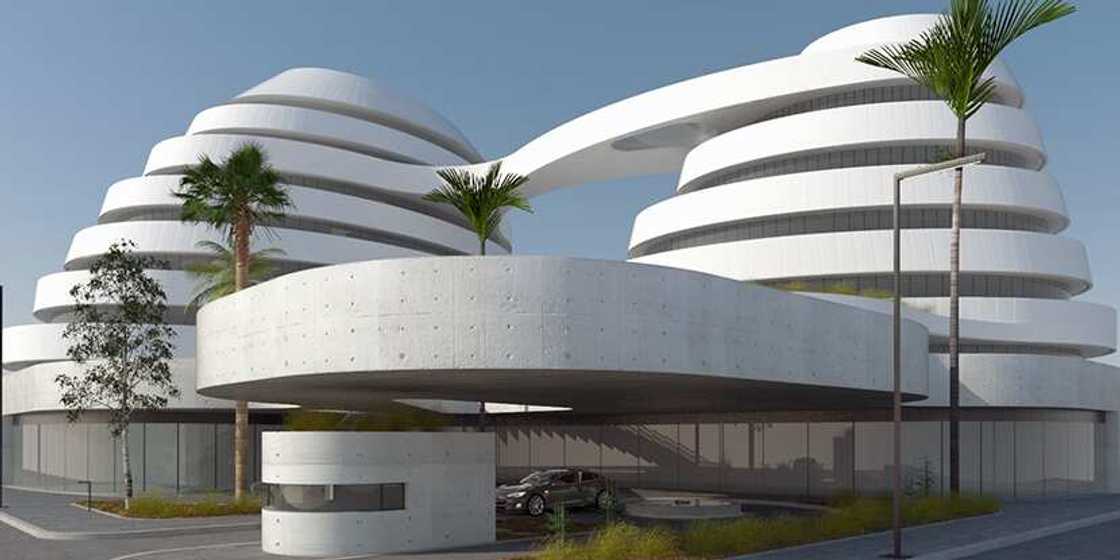 Double W project Double W project