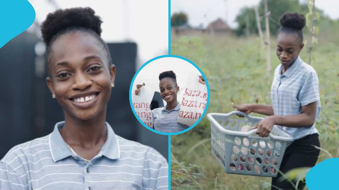 Ebubechukwu launches Baza ng to combat post-harvest losses among smallholder farmers in Nigeria, agriculture, food security, market, farm, technology Ebubechukwu launches Baza ng to combat post-harvest losses among smallholder farmers in Nigeria, agriculture, food security, market, farm, technology