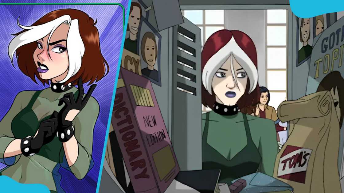 Rouge from the TV show X-Men: Evolution Rouge from the TV show X-Men: Evolution