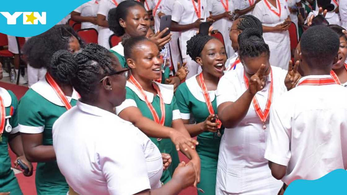 Nursing Student, No-Fee-Stress Policy, Ministry of Health, Nurses, NDC, John Mahama Nursing Student, No-Fee-Stress Policy, Ministry of Health, Nurses, NDC, John Mahama