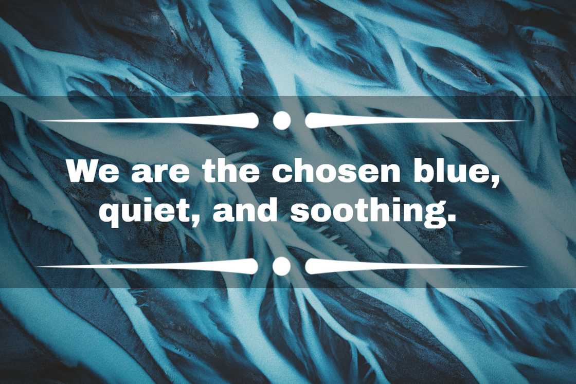 aesthetic quotes aesthetic quotes