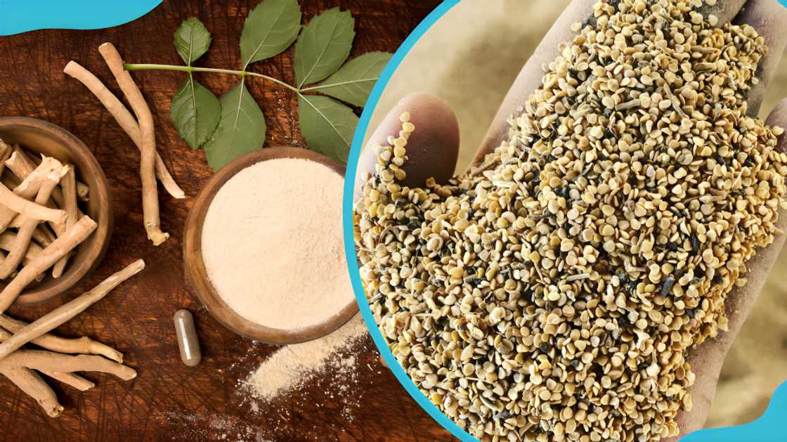 spices in Ghana spices in Ghana