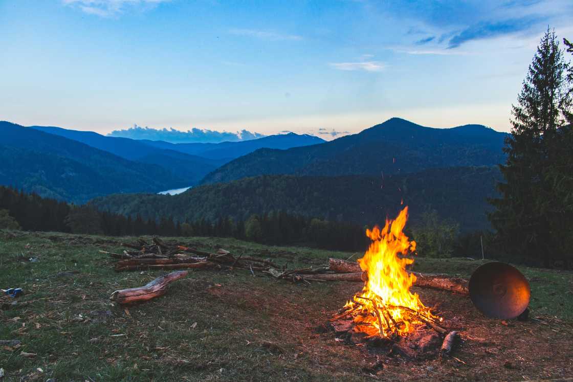 A bonfire on a green grass field