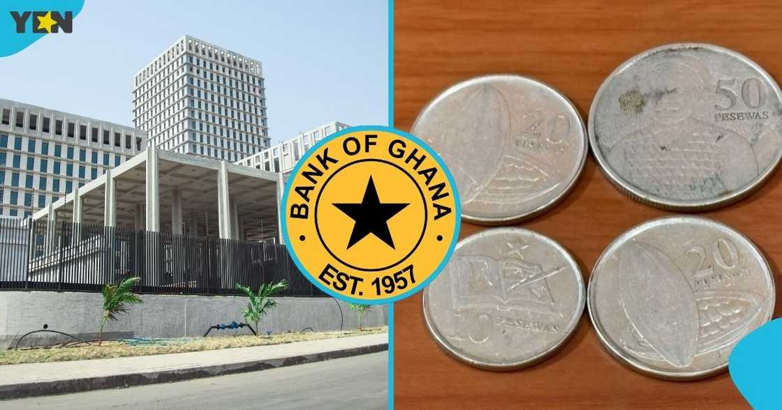The Bank of Ghana, BoG, the central bank, rejecting cedi coins, Ghana cedi coins, Ghanaian currency. The Bank of Ghana, BoG, the central bank, rejecting cedi coins, Ghana cedi coins, Ghanaian currency.