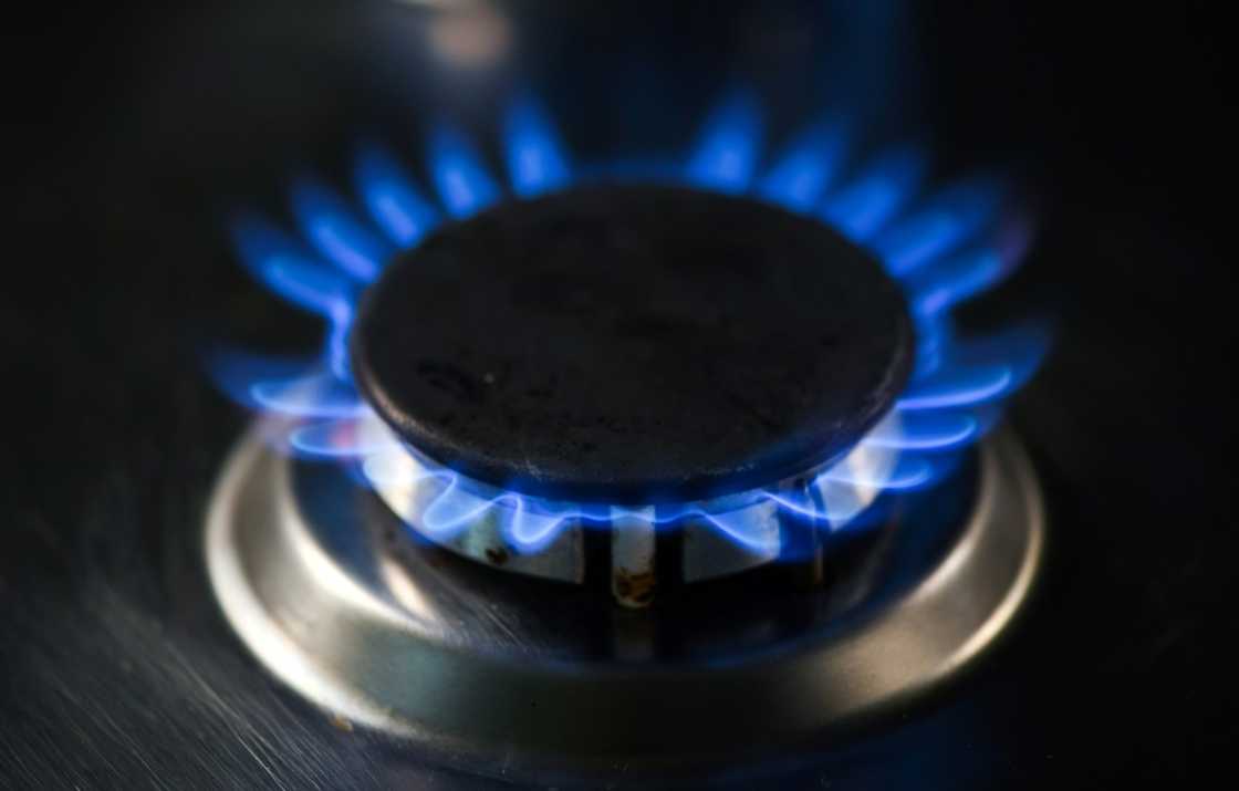 The gas price cap should cover 'at least a part' of the gas used by households and businesses, while 'maintaining an incentive to reduce gas use' over the winter as supplies are limited, the German government said The gas price cap should cover 'at least a part' of the gas used by households and businesses, while 'maintaining an incentive to reduce gas use' over the winter as supplies are limited, the German government said