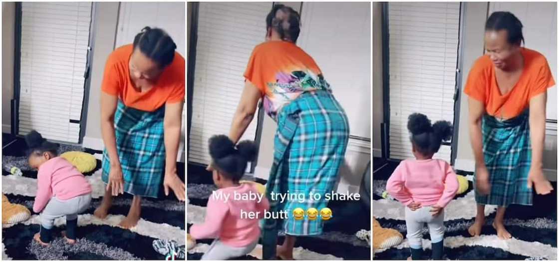 A little Nigerian kid recently danced with her grandmother and it was a delight to watch. A little Nigerian kid recently danced with her grandmother and it was a delight to watch.