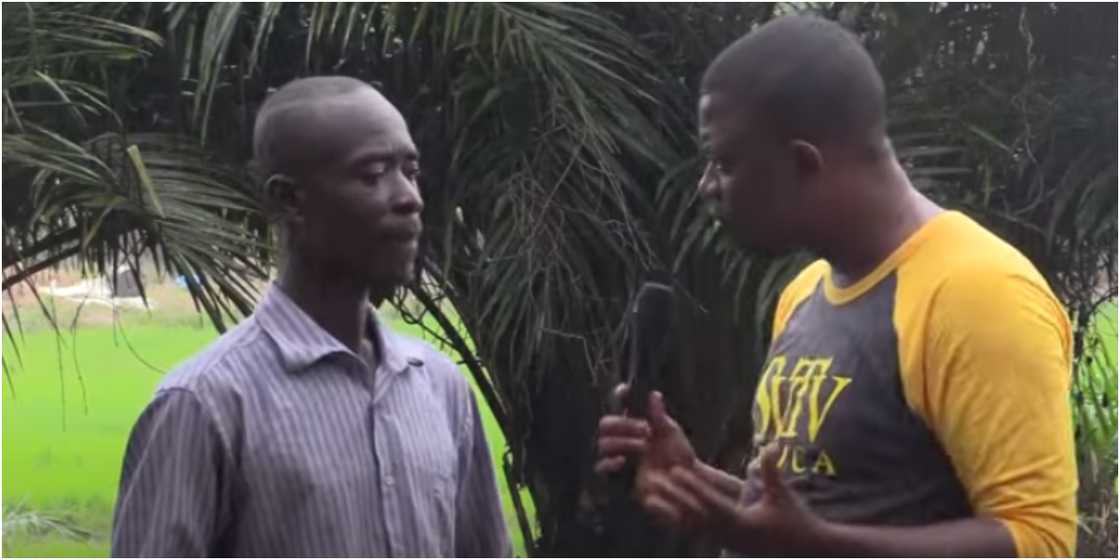 I quit school to become a rice and cocoa farmer, I've become successful - Ghanaian farmer reveals I quit school to become a rice and cocoa farmer, I've become successful - Ghanaian farmer reveals