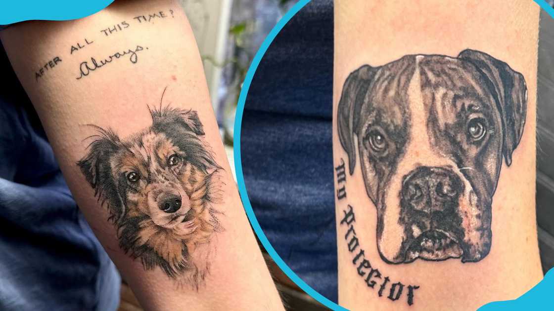 Dog portrait with a quote pet memorial tattoo Dog portrait with a quote pet memorial tattoo