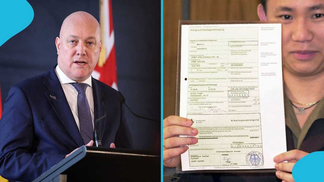 New Zealand Outlines Visa Holders Who Can Run Businesses and Those Who Are Not Permitted To