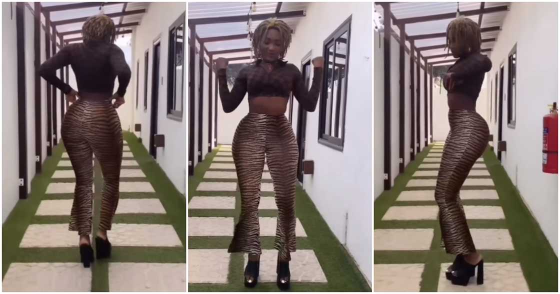 Wendy Shay shares video twerking to her song 'Habibi'. Wendy Shay shares video twerking to her song 'Habibi'.