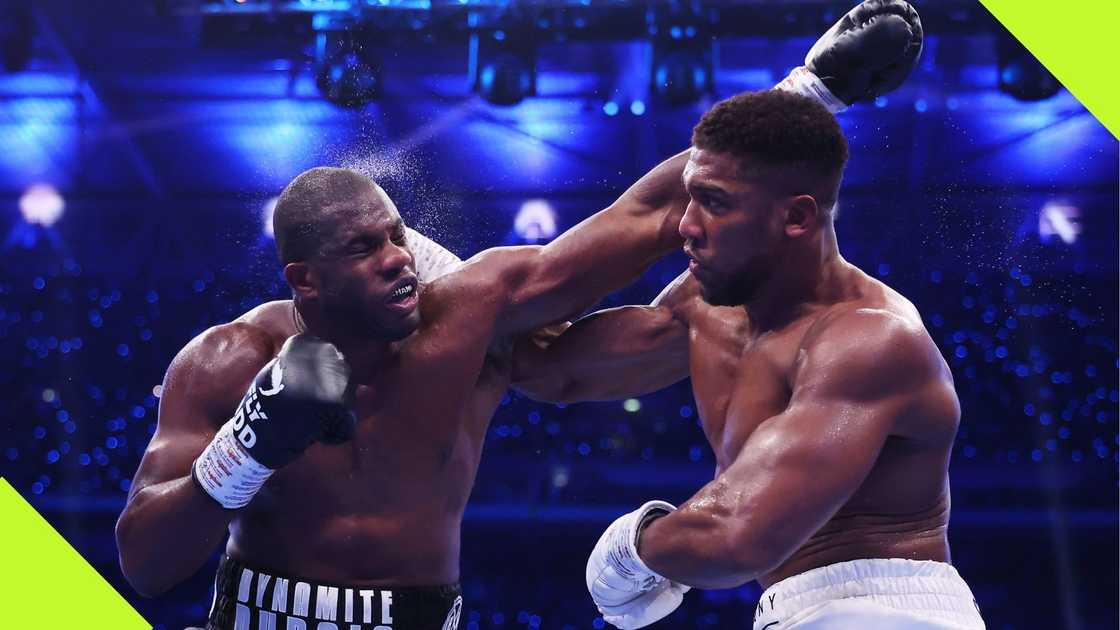 Daniel Dubois and Anthony Joshua exchange punches during the IBF World Heavyweight Title fight at Wembley Stadium on Saturday, September 21, 2024. Photo: Richard Pelham.