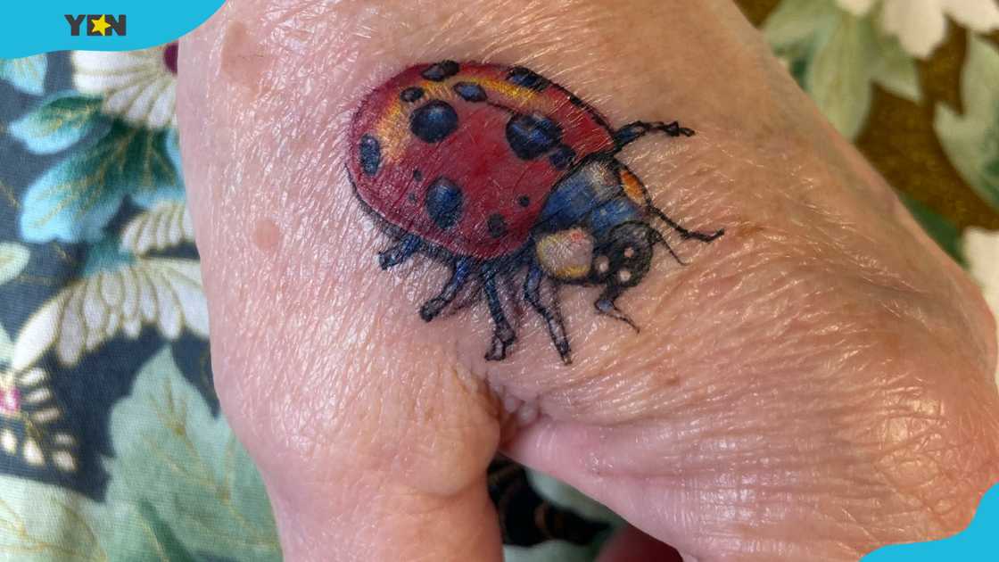 A realistic ladybug tattoo on the back of a hand