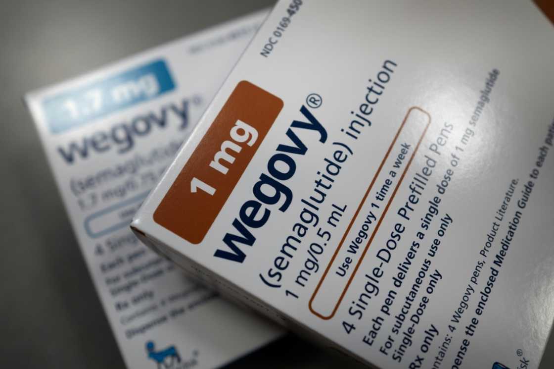 Copycats and rivals to Novo Nordisk's blockbuster diabetes and weight-loss treatments Ozempic and Wegovy weigh on the Danish drugmaker's its performance Copycats and rivals to Novo Nordisk's blockbuster diabetes and weight-loss treatments Ozempic and Wegovy weigh on the Danish drugmaker's its performance