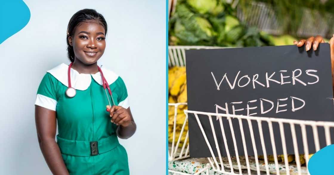 ghanaian nurse, employment, job seeking, nss, trending video, newly trained nurse, life after nss ghanaian nurse, employment, job seeking, nss, trending video, newly trained nurse, life after nss