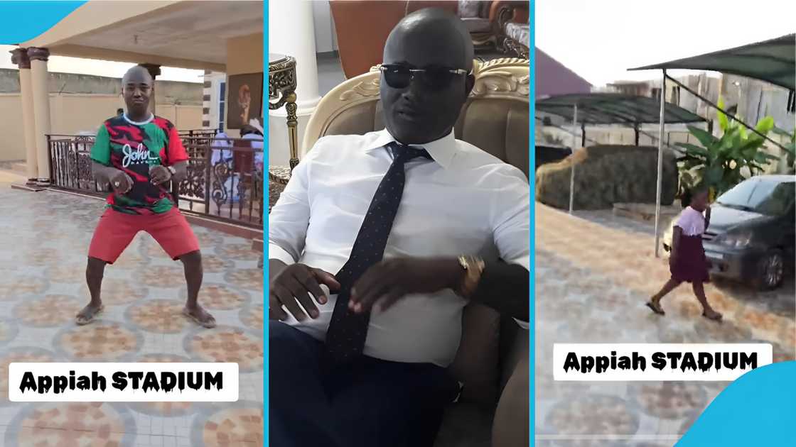 Appiah Stadium, Ghanaian socialite, politics, John Mahama, TikTok, viral video