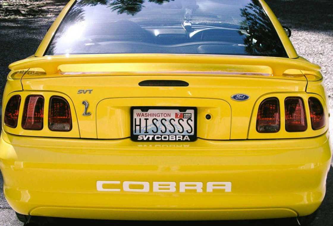 funny license plate ideas