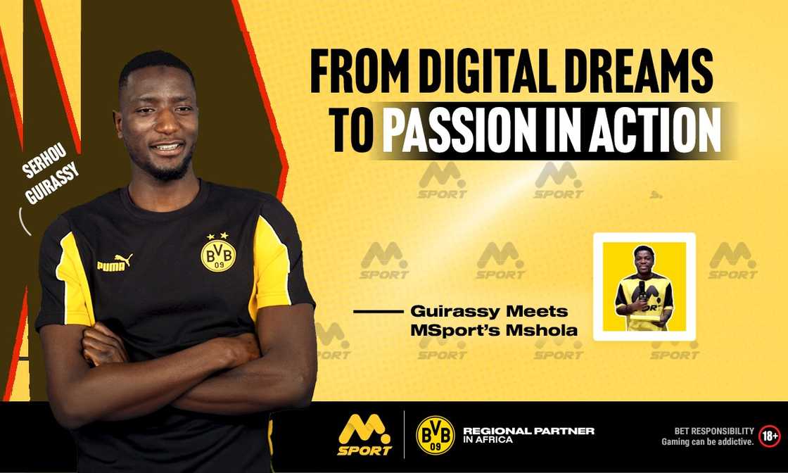 Msport, MShola, Africa, BVB, Sport Bet, Bet, Sport Msport, MShola, Africa, BVB, Sport Bet, Bet, Sport