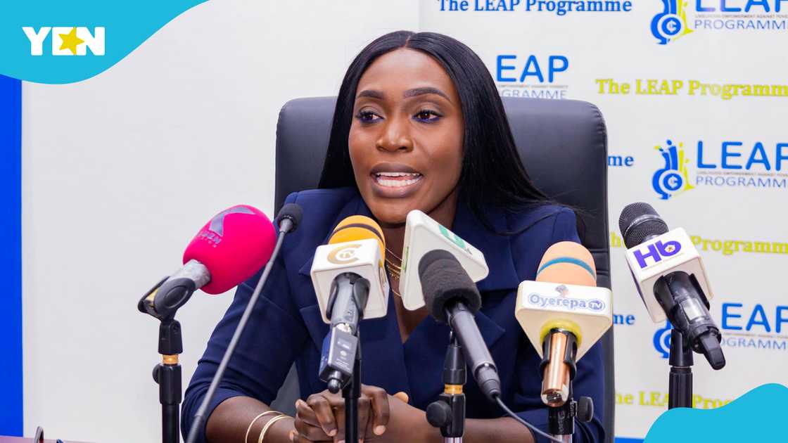 Dakoa Newman, Election 2024, Ghana Election, NPP, Akufo-Addo, NDC, Akosua Manu, Ursula-Owusu Dakoa Newman, Election 2024, Ghana Election, NPP, Akufo-Addo, NDC, Akosua Manu, Ursula-Owusu