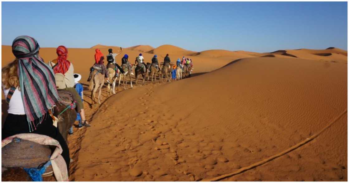 The Sahara Desert The Sahara Desert