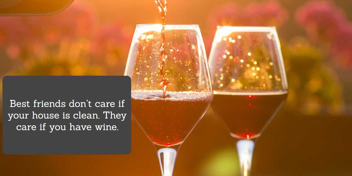 silly quotes silly quotes