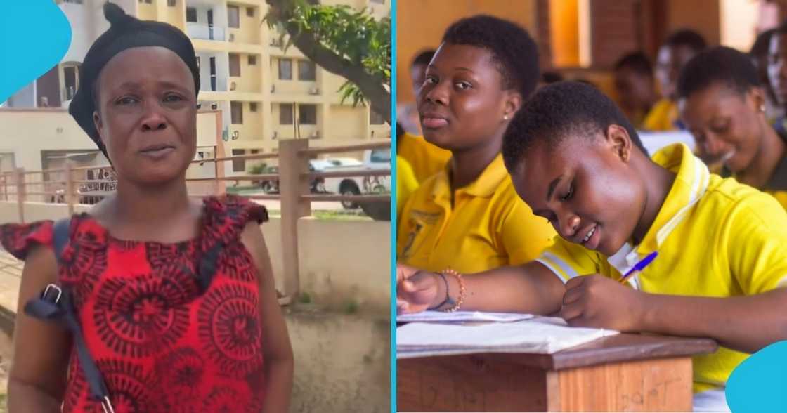 ghana schools, school placement, kasoa farm, school farm, ghanian, ghana, kasoa school ghana schools, school placement, kasoa farm, school farm, ghanian, ghana, kasoa school