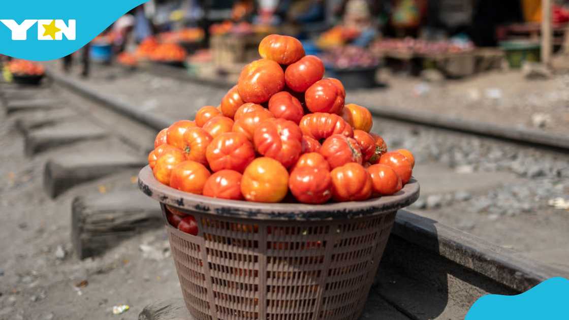 Burkina Faso, Abduction, Sisalla East, Sadat Ibrahim