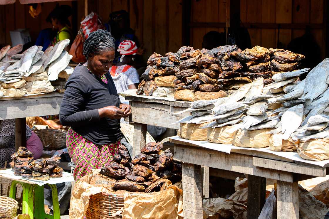Smoked fish in the market Smoked fish in the market