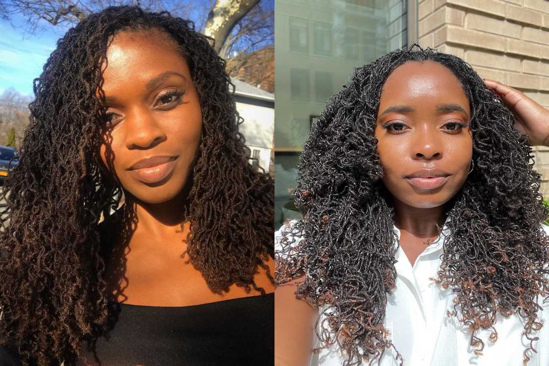 starter locs starter locs