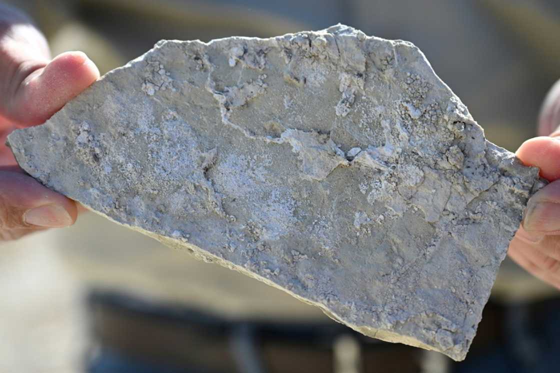 A piece of searlesite, a rock that contains both lithium and boron A piece of searlesite, a rock that contains both lithium and boron