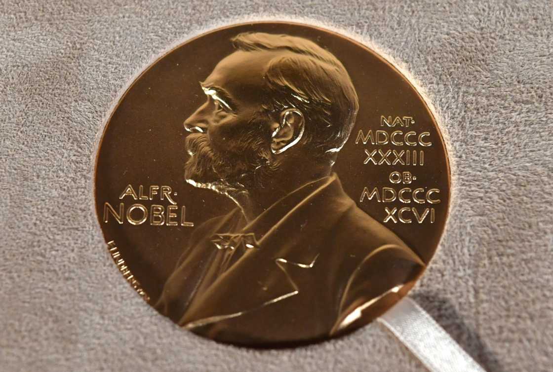 Last year, 12 men and one woman won Nobel Prizes, with all of the science nods going to men Last year, 12 men and one woman won Nobel Prizes, with all of the science nods going to men