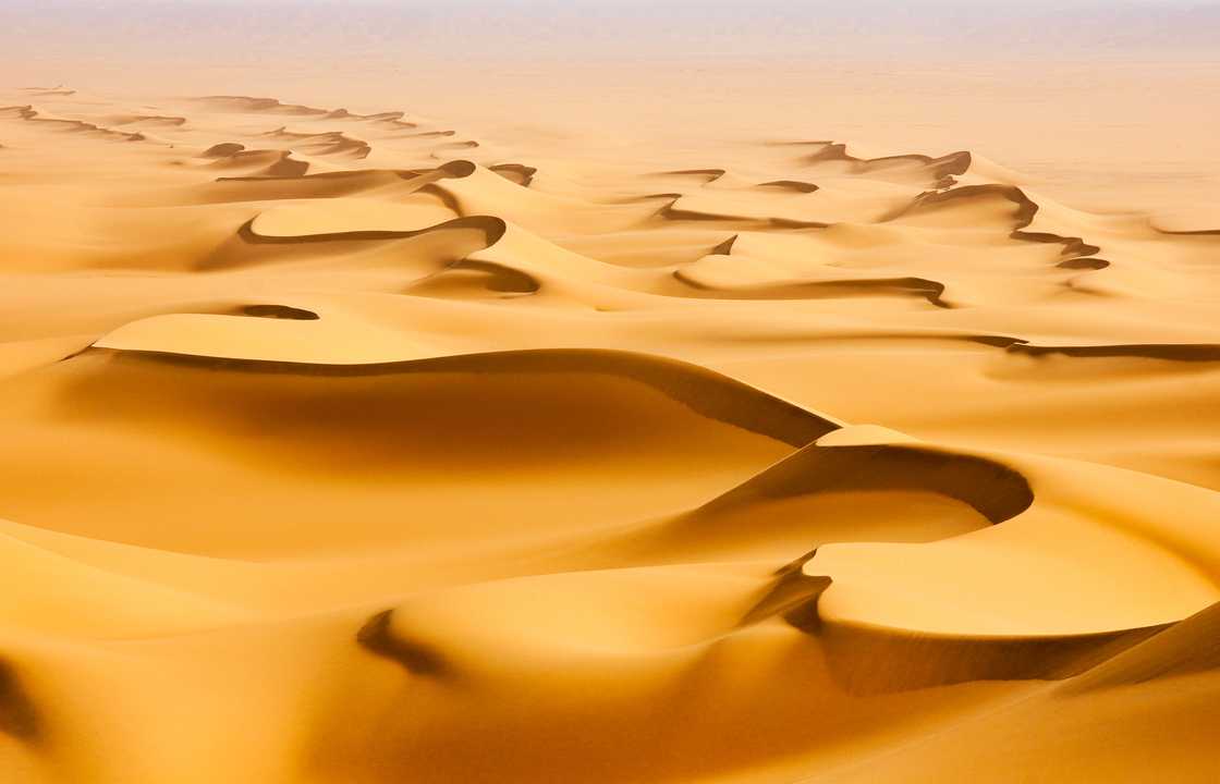 What is the driest desert in the world