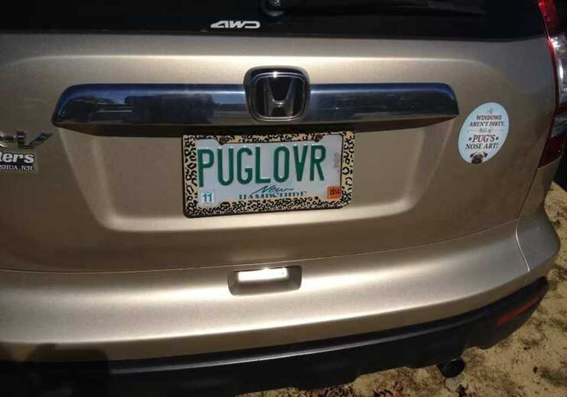 funny license plate ideas funny license plate ideas
