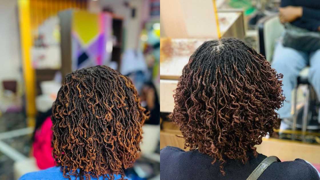 Medium locs Medium locs