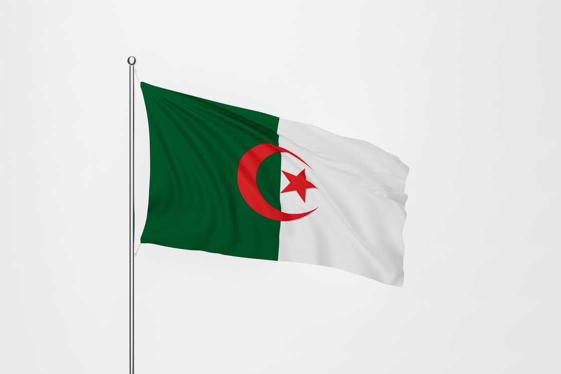 The flag of Algeria