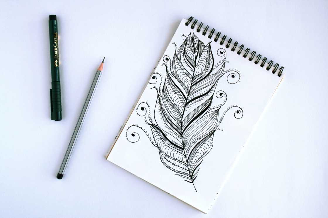 What to do when bored in class? What to do when bored in class?