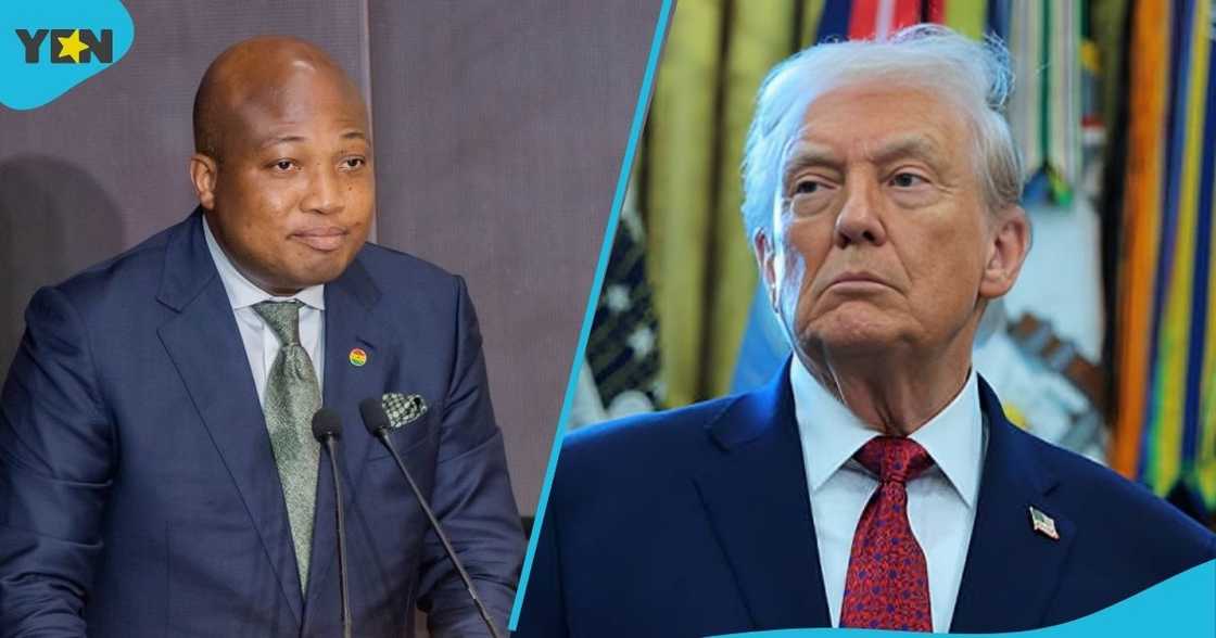 Samuel Okudzeto Ablakwa, Foreign Affairs Minister, US visa restrictions, President Donald Trump