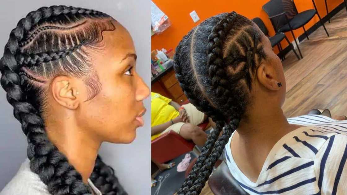 stunning two braids hairstyles stunning two braids hairstyles