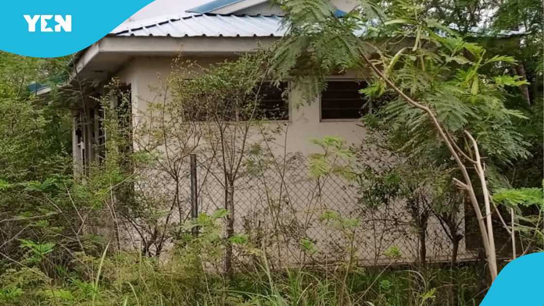 MTN, ICT, ICT lab, Central Tongu, Ghana, Volta region