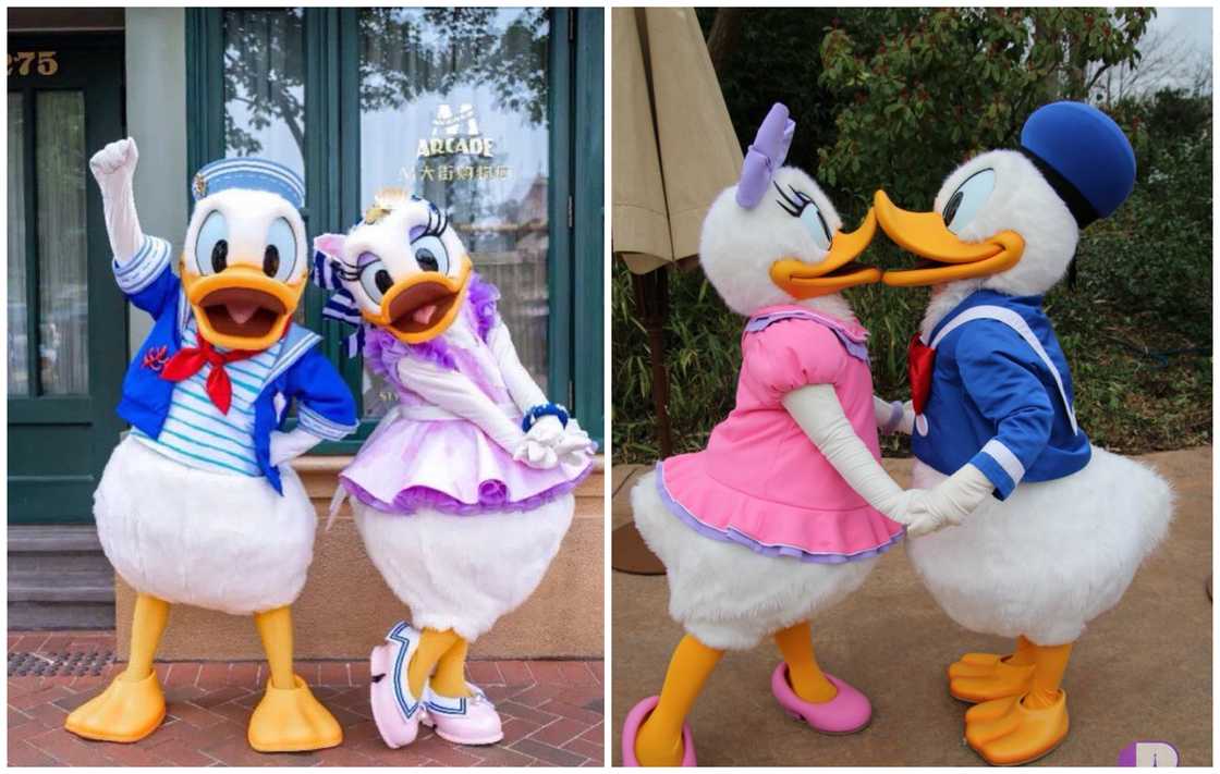 Cartoon couples Cartoon couples