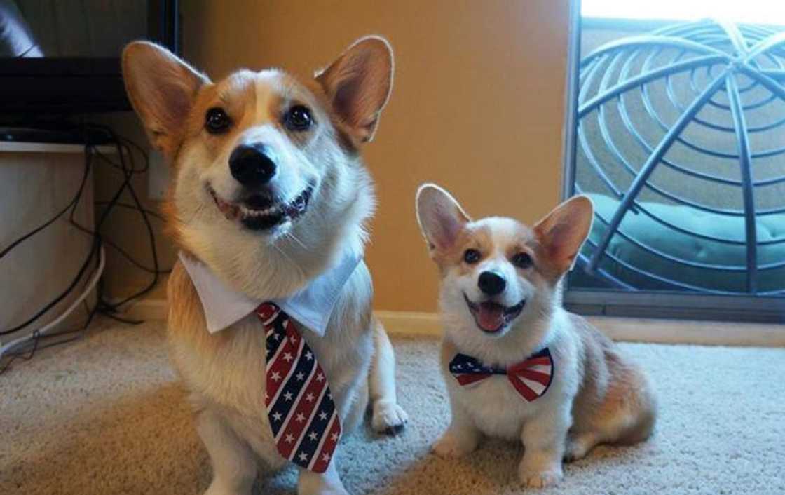 The most important image on the internet in 2022: 20 photos made famous by Google The most important image on the internet in 2022: 20 photos made famous by Google