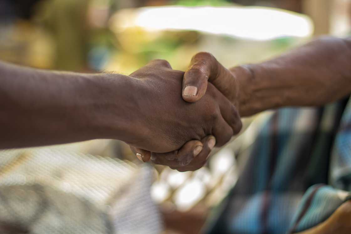 Two hands clasp in a firm handshake.