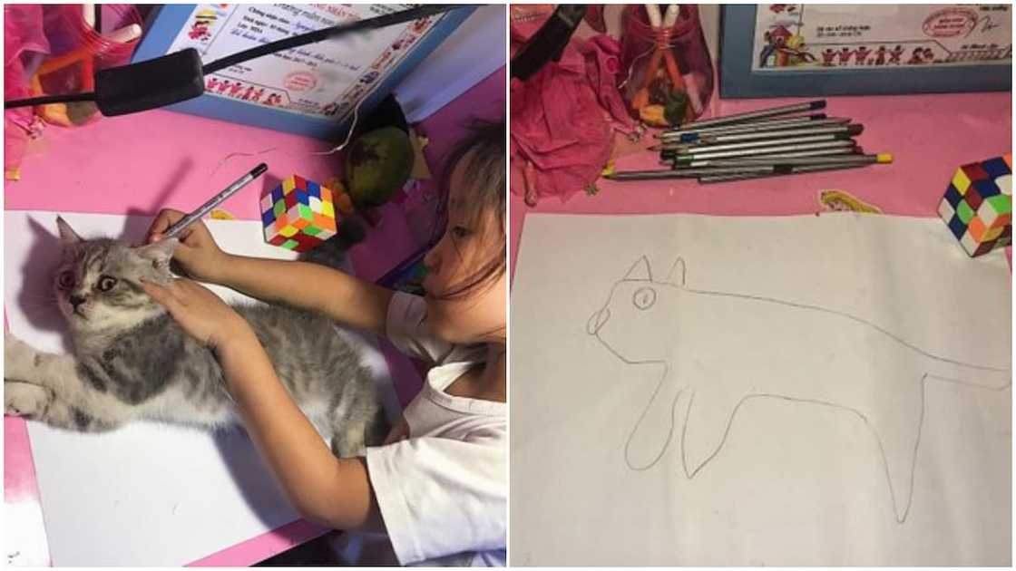 Funny photos of kid who used live cat to make sketch go viral, many 'praised' her act Funny photos of kid who used live cat to make sketch go viral, many 'praised' her act