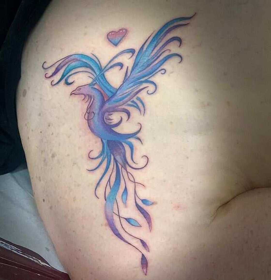 cool phoenix cool phoenix