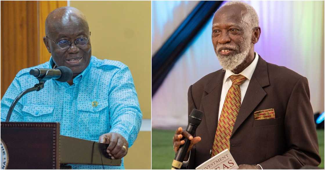 Prof Adei has slammed Akufo-Addo for excessive borrowing Prof Adei has slammed Akufo-Addo for excessive borrowing