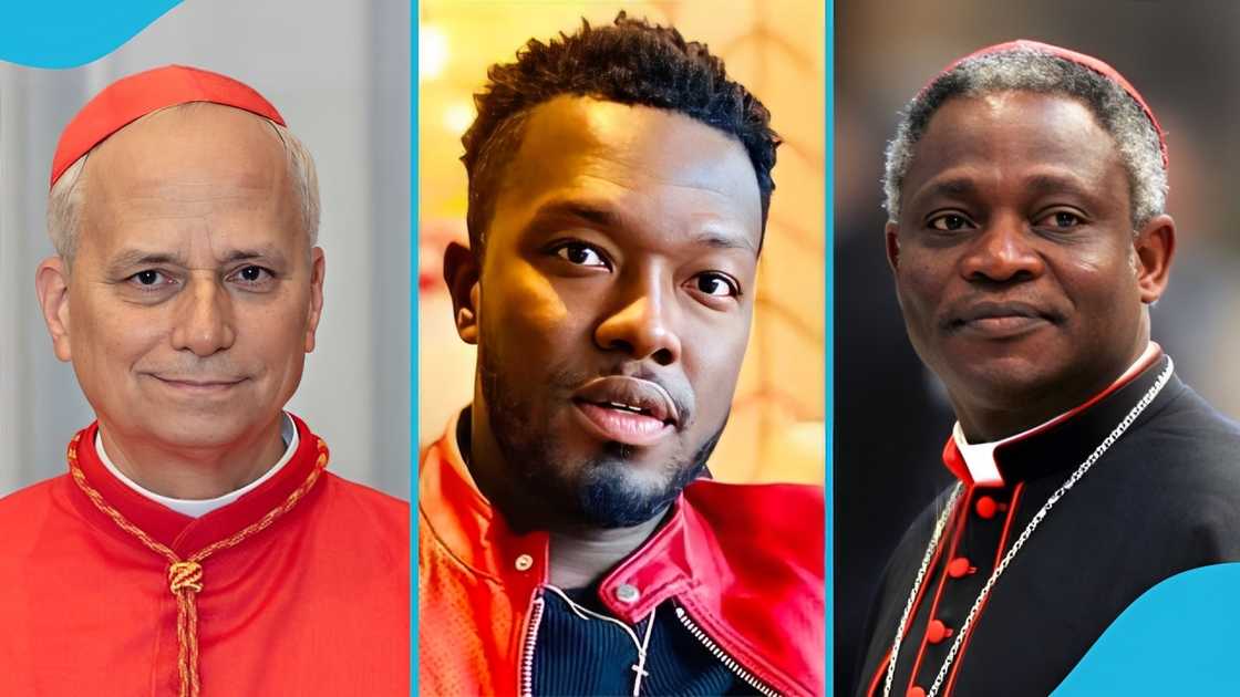 Reggie Zippy, Catholic Faith, Cardinal Turkson, New Pope, Pope Francis Reggie Zippy, Catholic Faith, Cardinal Turkson, New Pope, Pope Francis