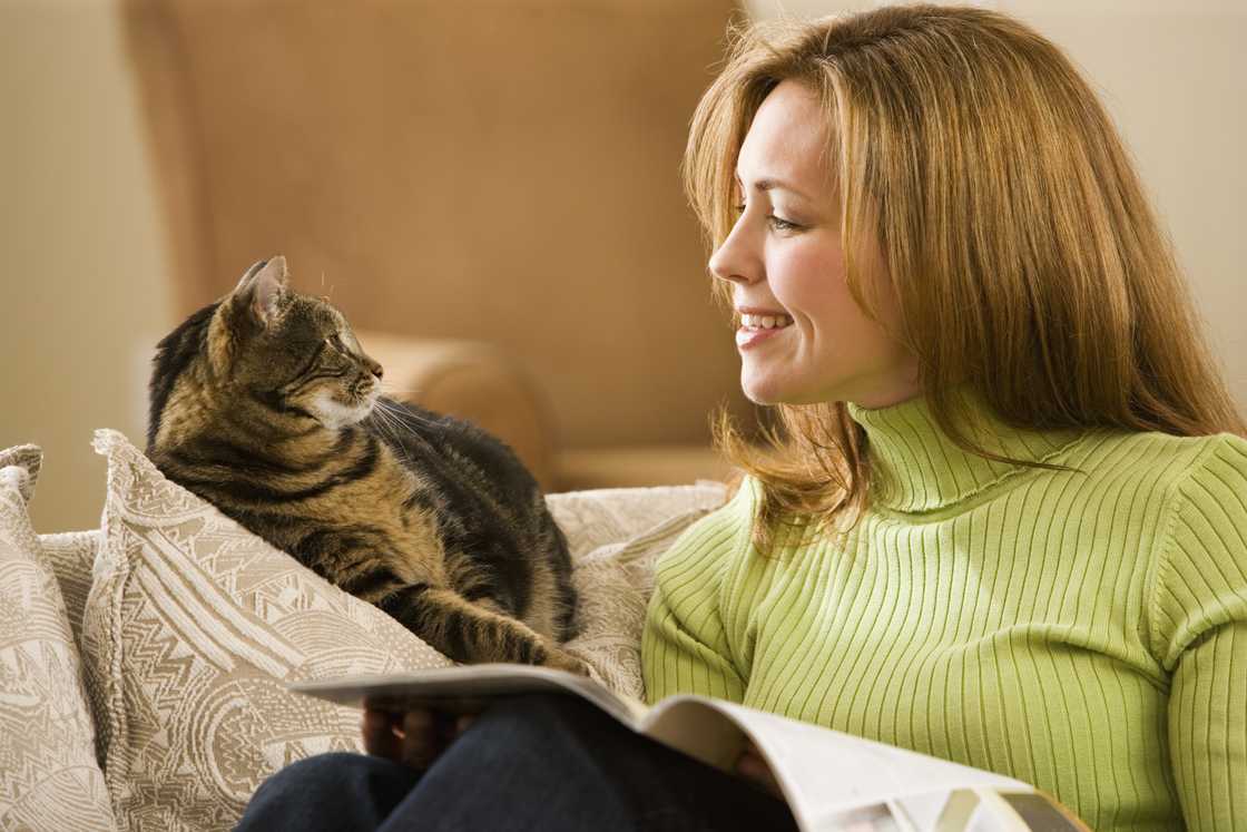 A woman is smilling at the cat