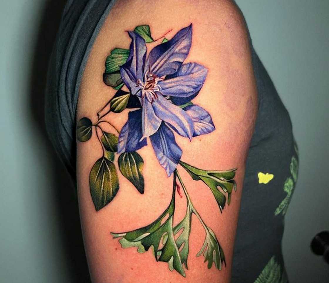 The clematis tattoo