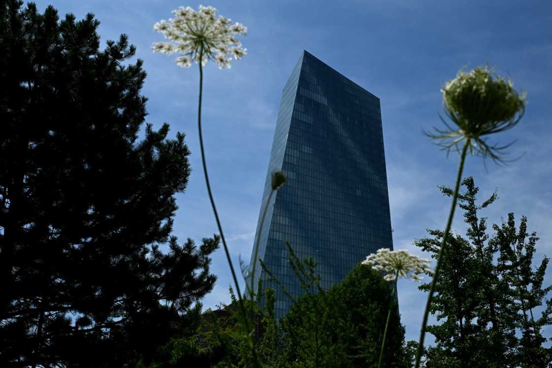 The ECB insists it will only respond to incoming data when it makes rate calls