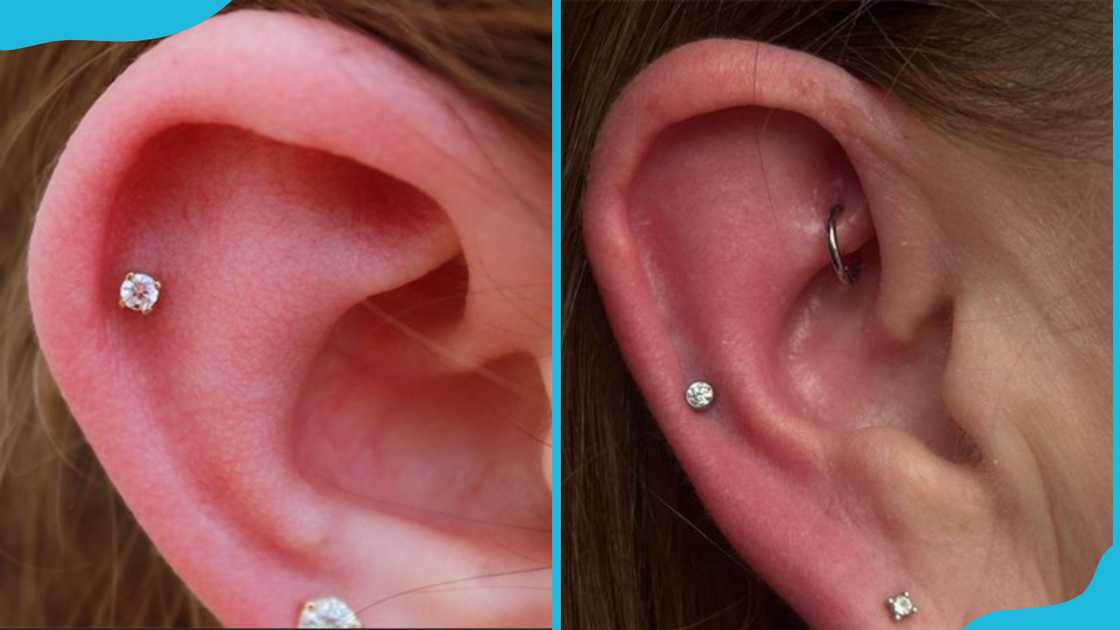 Two freshly pierced ears with studs Two freshly pierced ears with studs