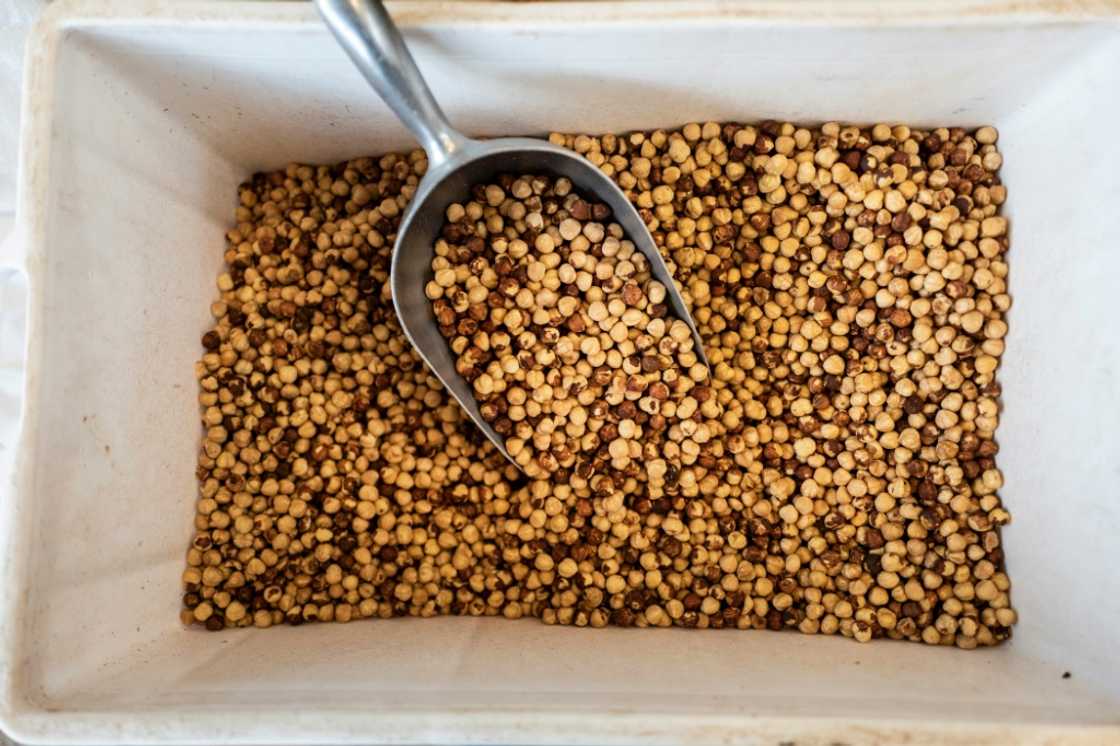 The committee advocates a return to the original gianduiotto recipe The committee advocates a return to the original gianduiotto recipe